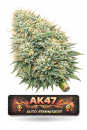 AK47 | 3 Cannabis Samen